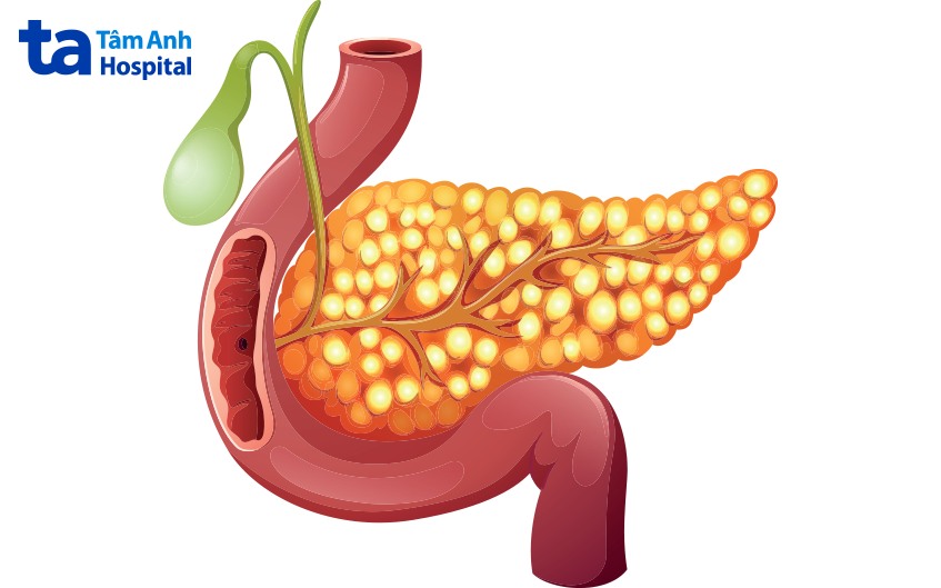 kích thước polyp túi mật