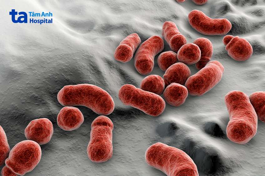 Người có hệ thống miễn dịch yếu cũng có nguy cơ cao bị lang ben.