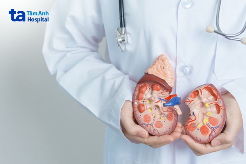 bệnh thận nhiễm bột nguyên nhân