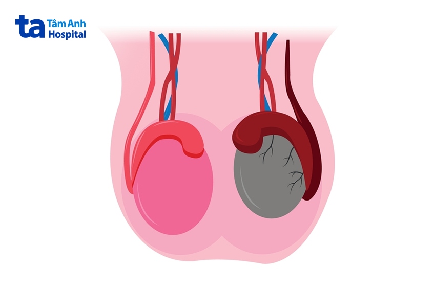 kichik mushuk va uzun Dik