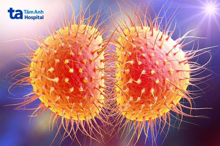 nguyên nhân gây sưng bao quy đầu