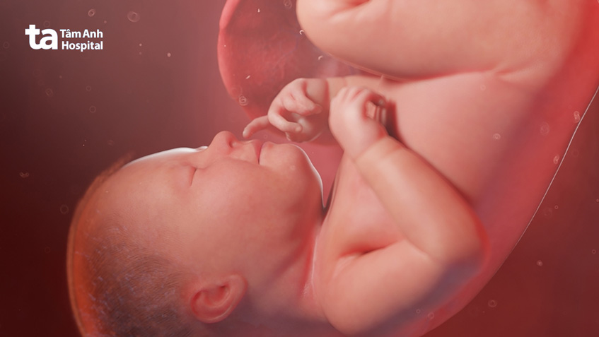 nước ối bao bọc bảo vệ thai nhi