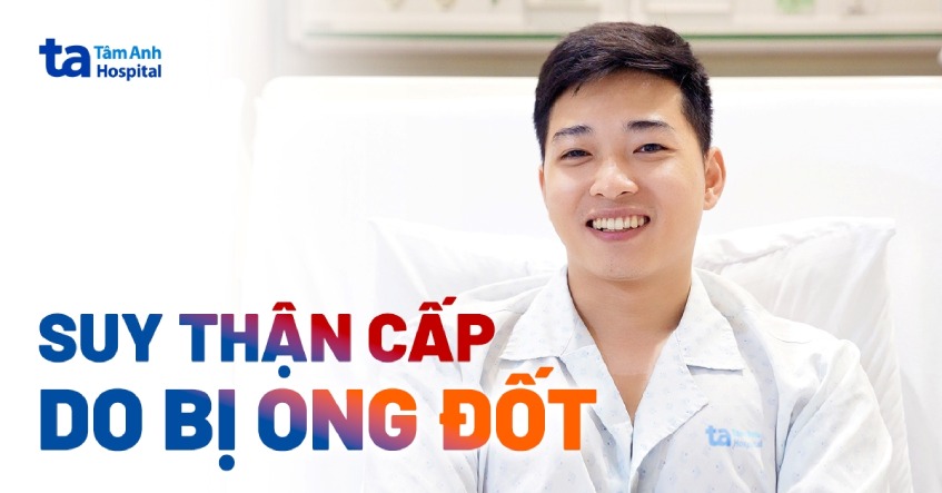 Suy thận cấp do ong vò vẽ đốt