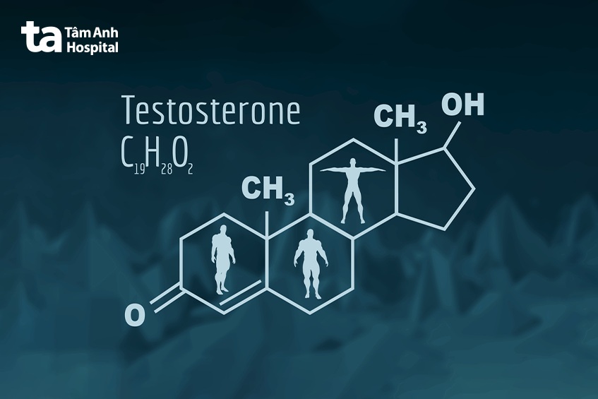 testosterone