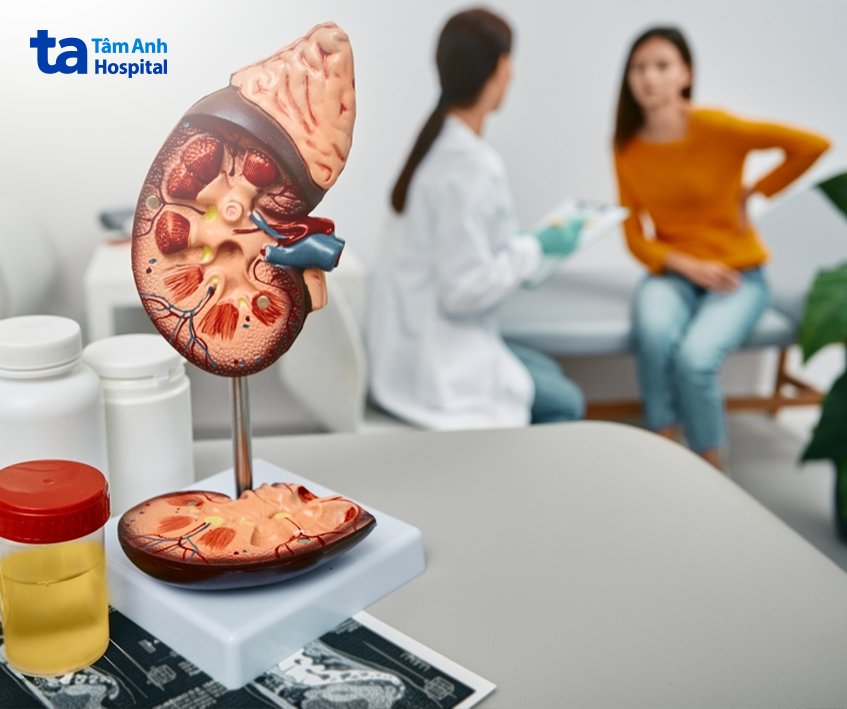 vai trò của thận