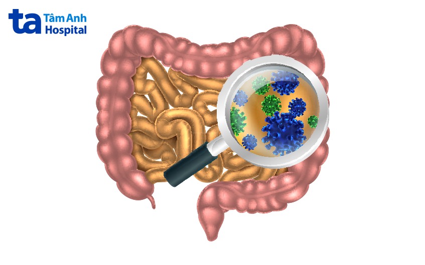 bệnh nhiễm khuẩn đường ruột