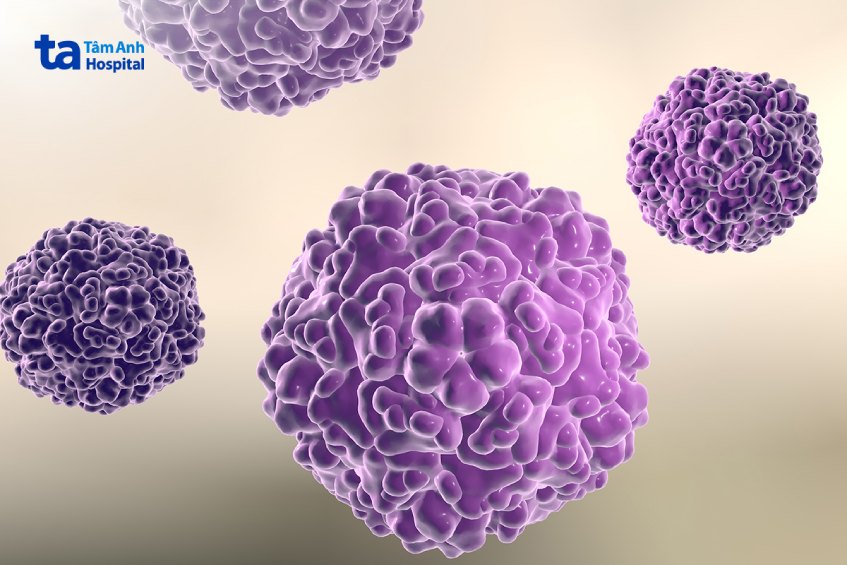 Bệnh tay chân miệng ở trẻ được gây ra bởi virus