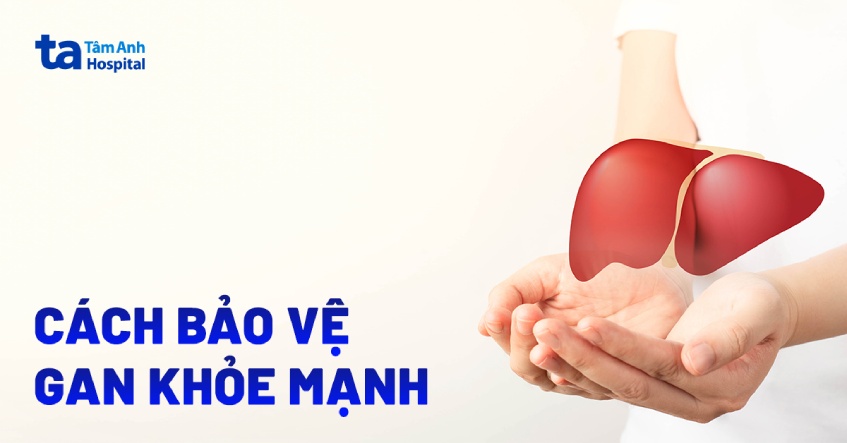 cách bảo vệ gan