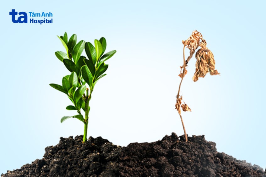 Dấu hiệu điển hình của mãn dục nam là giảm ham muốn, khó cương dương, xuất tinh nhanh, mất cơ bắp, mệt mỏi, hay quên, thiếu máu nhẹ, rụng tóc.