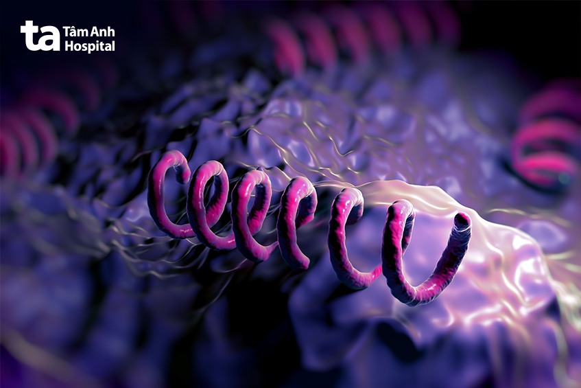 giang mai ở miệng là gì