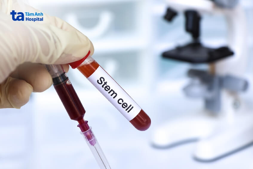 lưu trữ tế bào gốc ở đâu