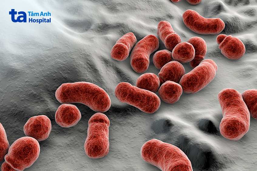 yếu tố gây bệnh lang ben