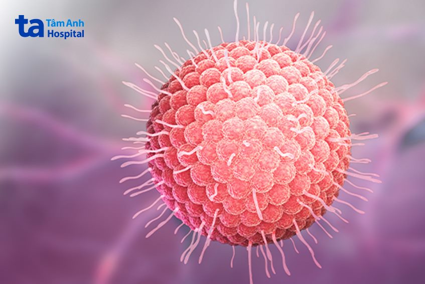 Virus Varicella-Zoster