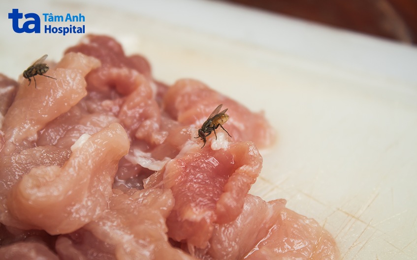 Phần lớn trẻ bị ngộ độc do ăn phải thực phẩm bị nhiễm bẩn