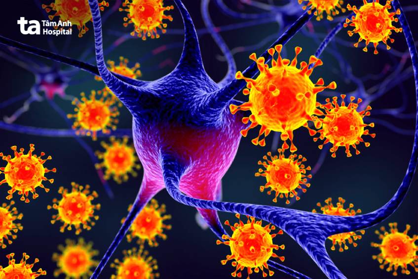 Virus là tác nhân gây viêm màng não phổ biến nhất