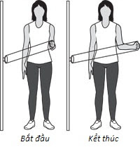 xoay ngoài với cánh tay khép