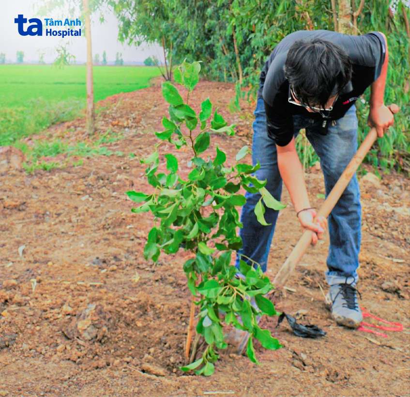 chị chia sẻ hình ảnh đồng đội đang trồng cây