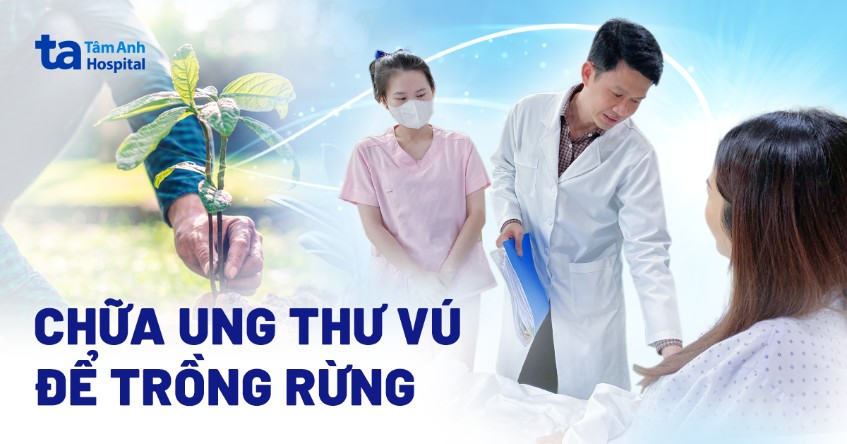 Cô gái chữa ung thư vú, tiếp tục trồng rừng