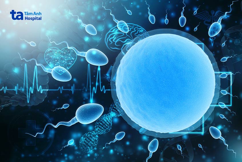 loại bỏ tế bào nhiễm trùng ra khỏi tinh dịch