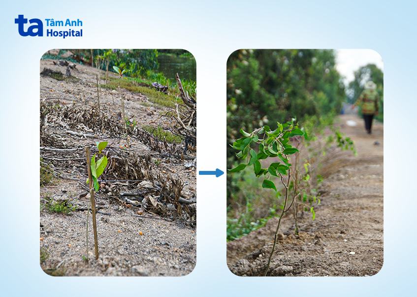 Người bảo vệ “lá phổi” cộng đồng