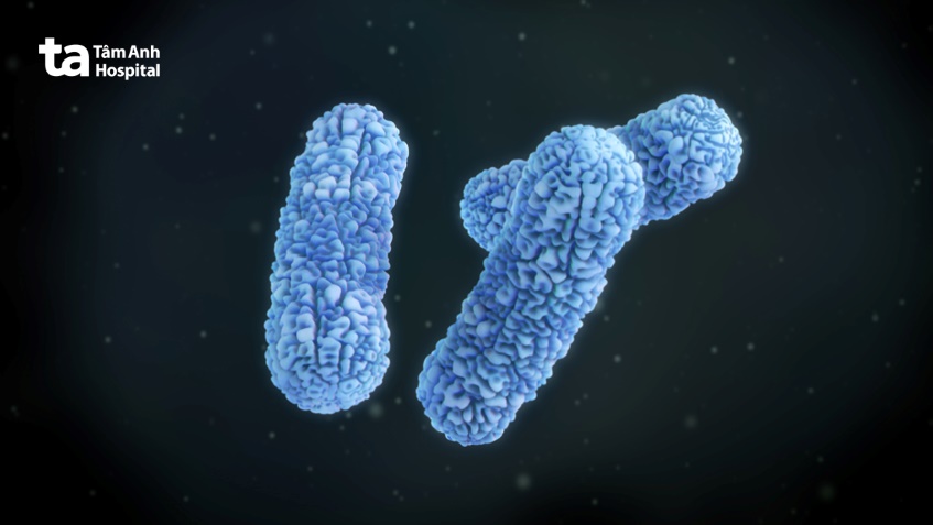 Vi khuẩn Burkholderia cepacia