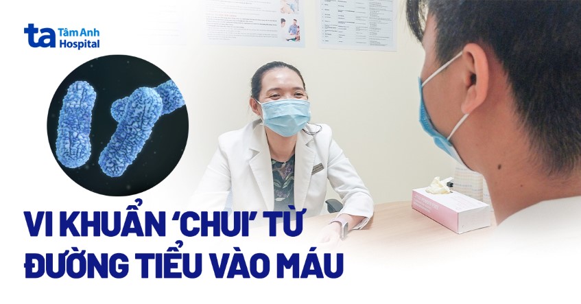 Vi khuẩn ‘chui’ từ đường tiểu vào máu