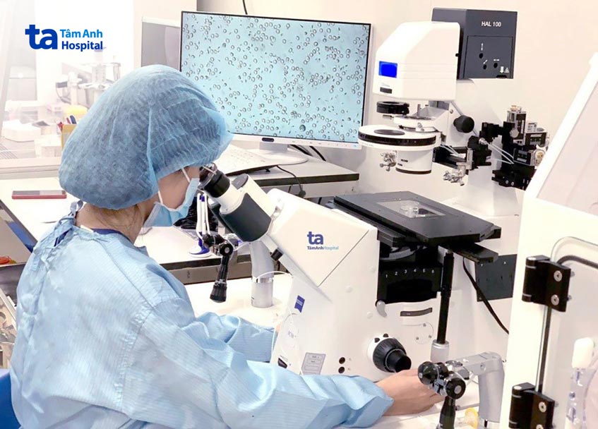 chuyên gia phôi học