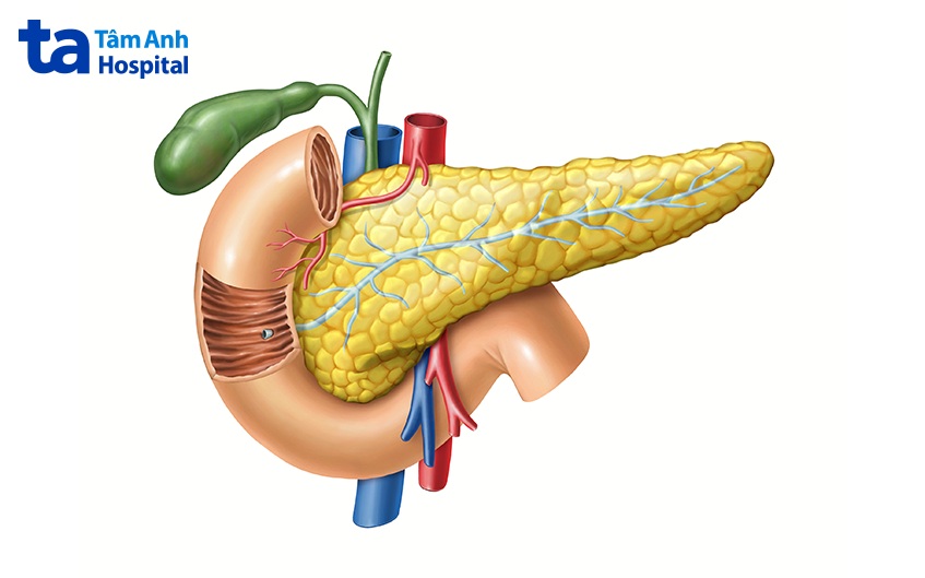 u cơ tuyến túi mật là gì