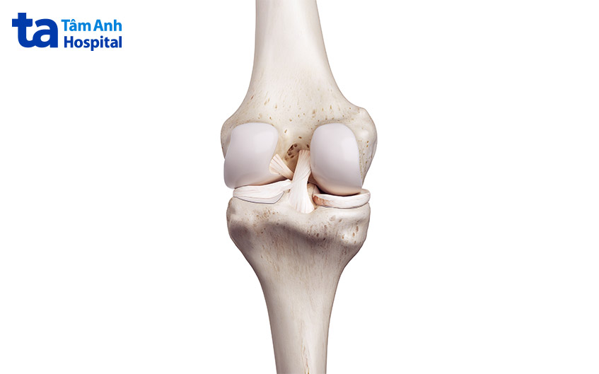 giúp xương chuyển động linh hoạt