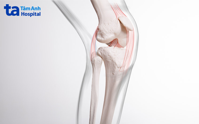 hoạt động như một bản lề