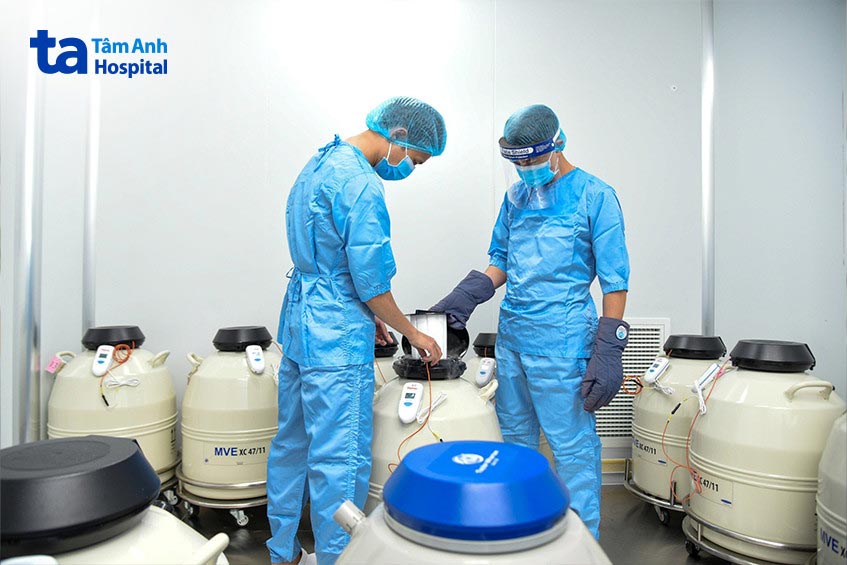 Trứng được trữ đông trong môi trường nitơ lỏng ở âm 196 độ C