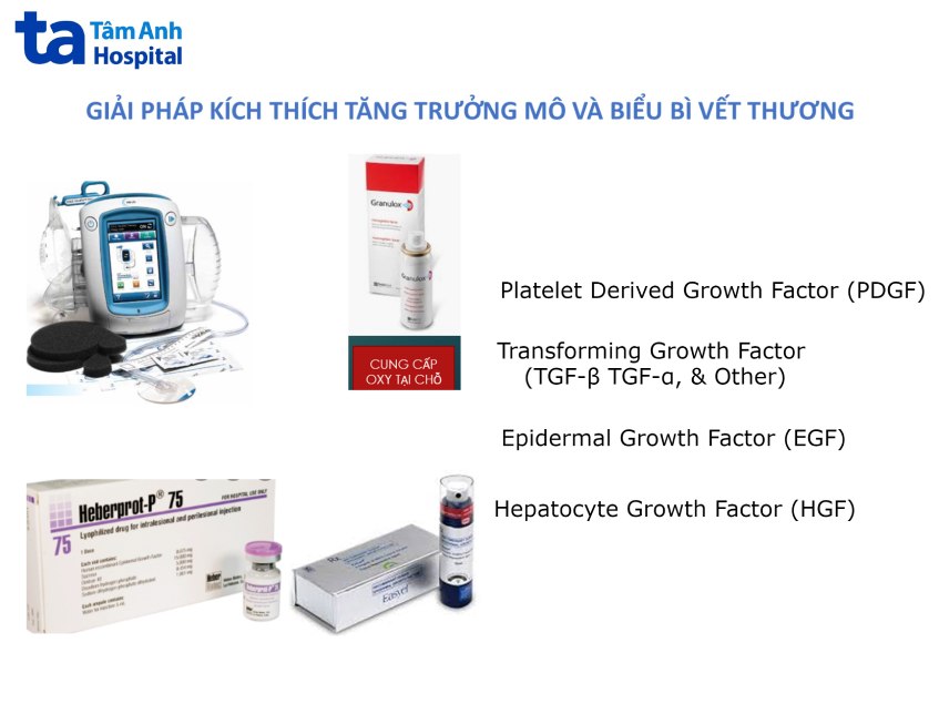 Các giải pháp tăng trưởng mô hiện nay đóng vai trò quan trọng