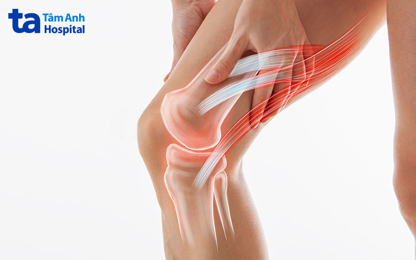 hai đầu xương đùi và xương cẳng chân