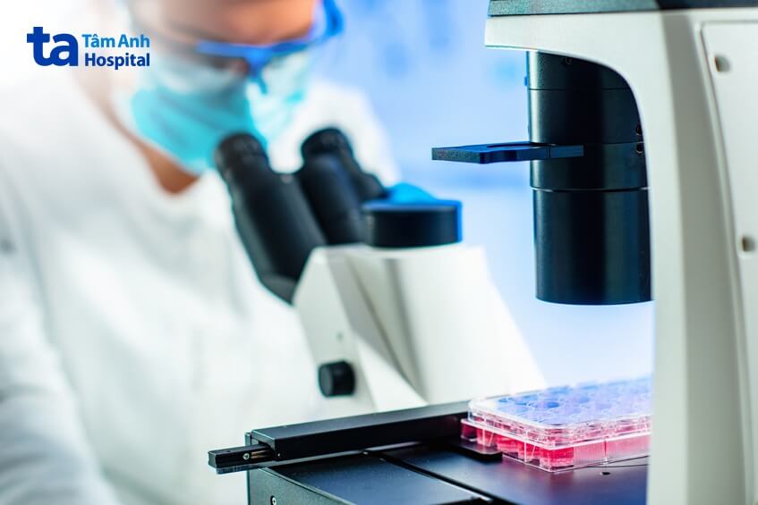 tế bào gốc từ mô mỡ