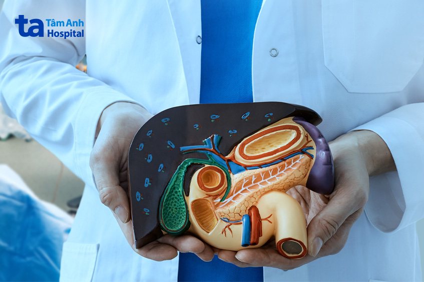 trị tắc mật vàng da