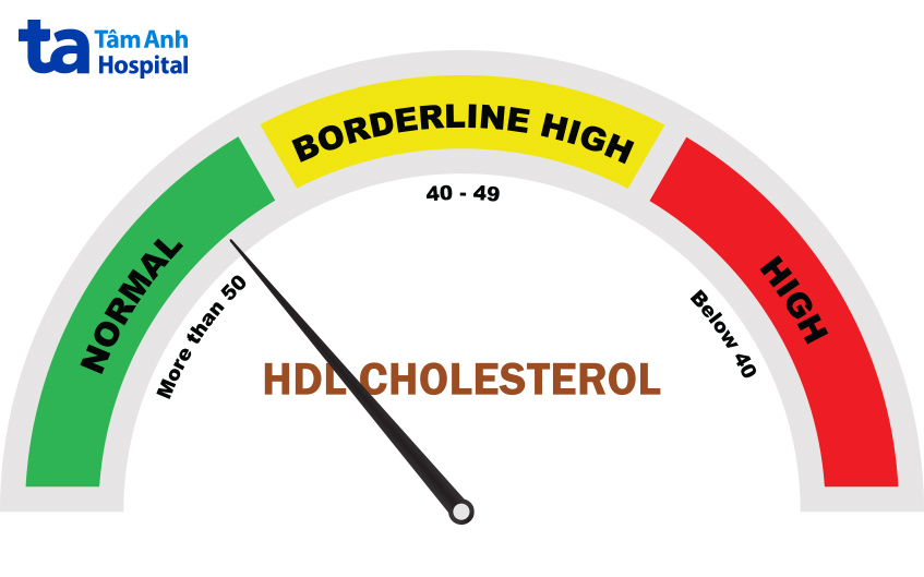 Chỉ số HDL cholesterol nên được duy trì từ 50mg/dL trở lên
