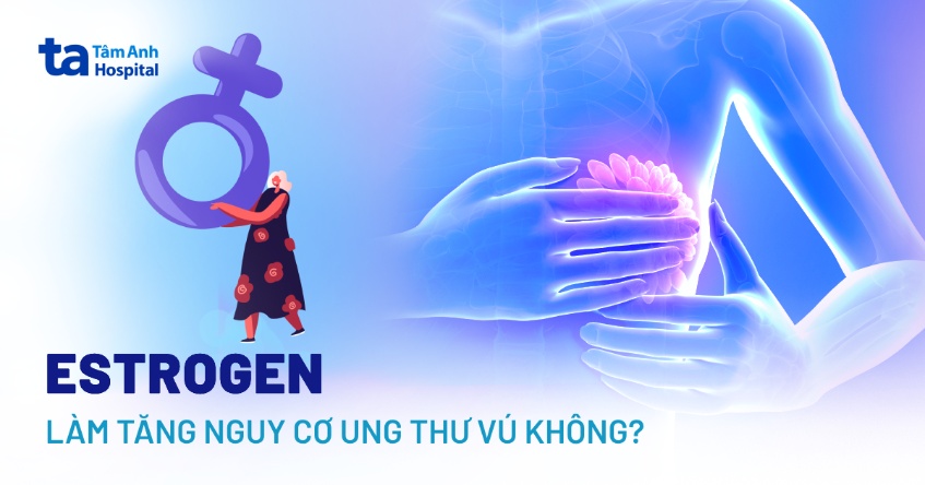 Estrogen có làm tăng nguy cơ ung thư vú không? Mối liên hệ thế nào?
