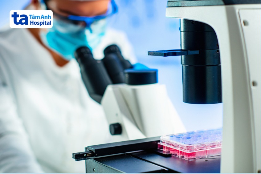 lợi ích của tế bào gốc tủy xương