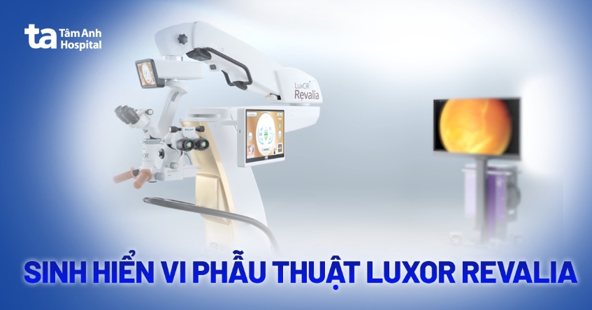 Luxor Revalia