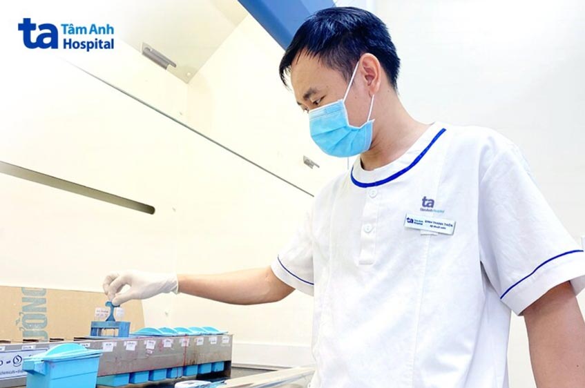 mẫu được nhuộm trong hóa chất