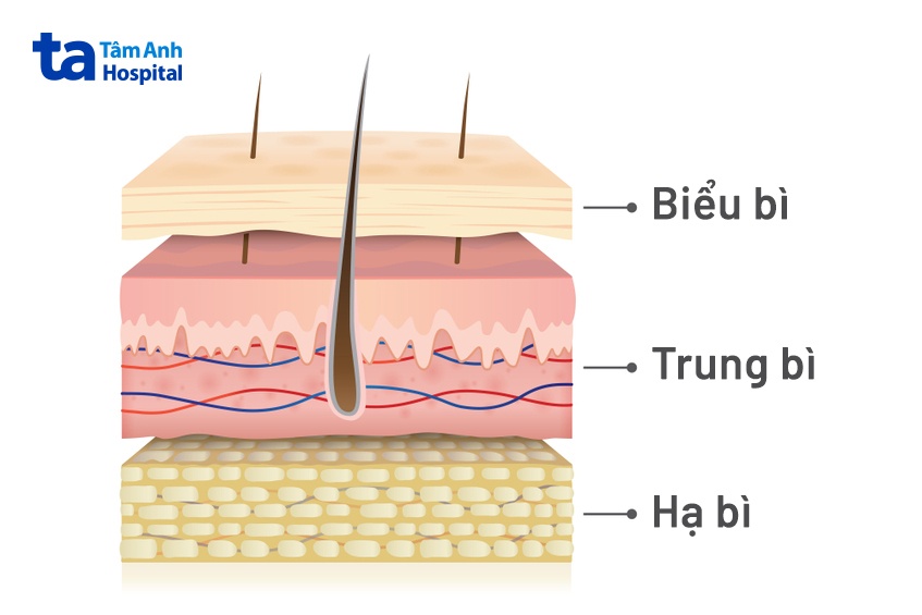 nguyên nhân gây nám chân đinh