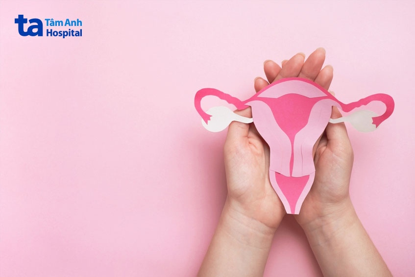 Phụ nữ phải trải qua nhiều lần thay đổi nội tiết tố trong đời