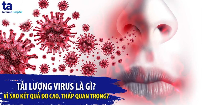Tải lượng virus là gì? Vì sao kết quả đo cao, thấp quan trọng?