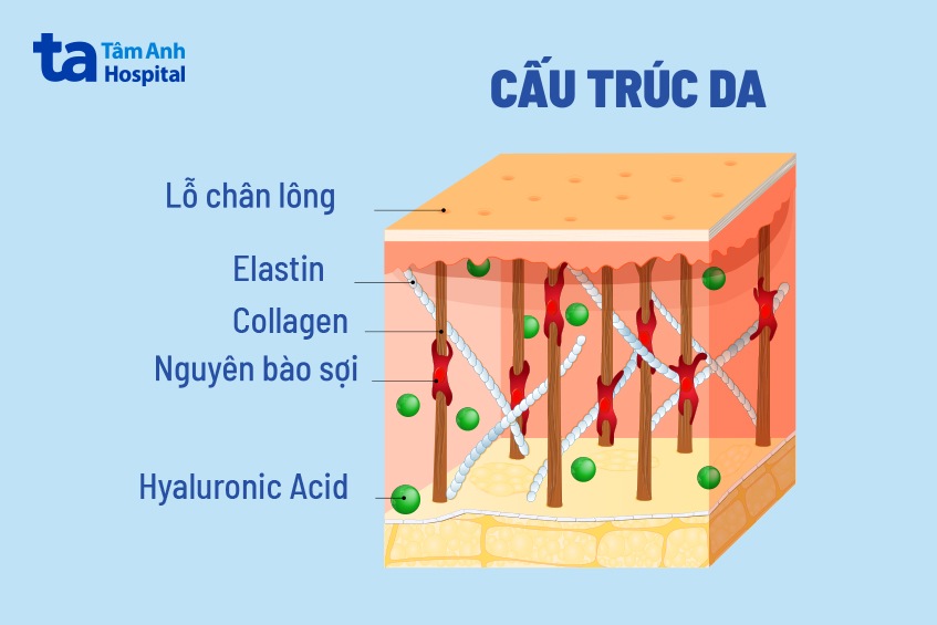 tiêm bap 5 điểm có nguy hiểm không
