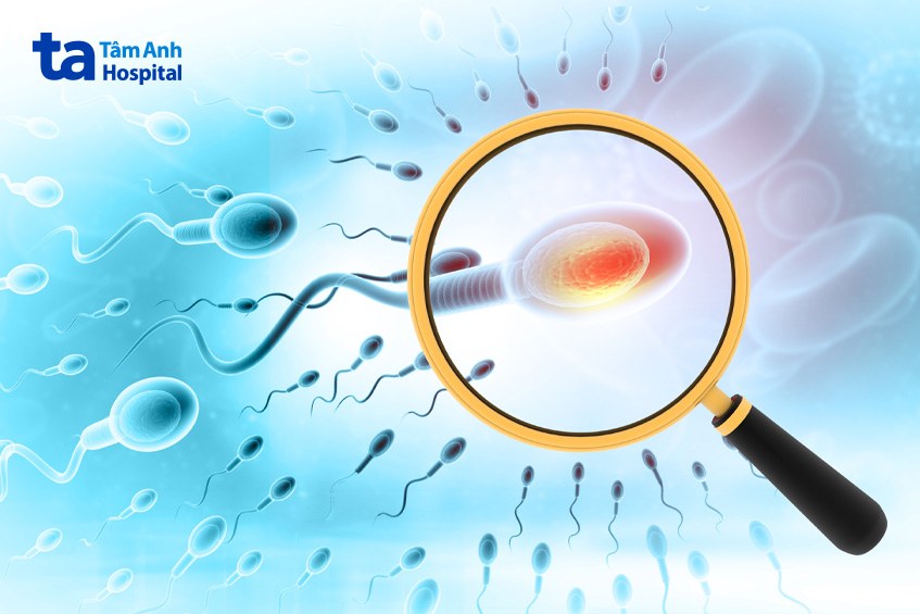 tinh trùng loãng có chữa khỏi được không