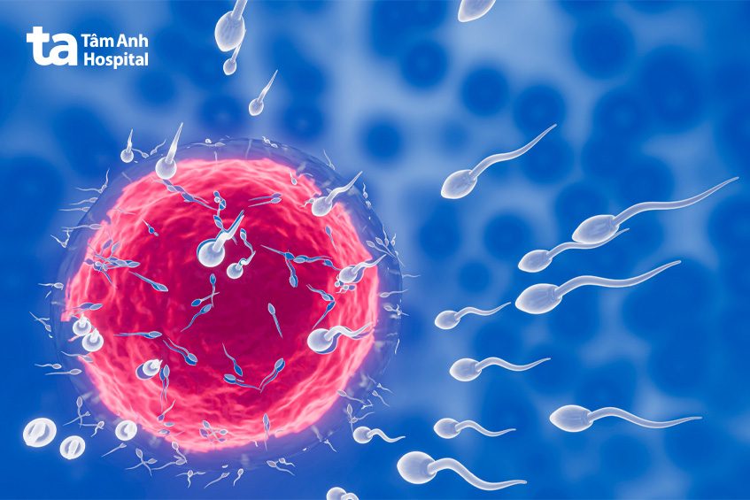 tinh trùng loãng như nước có vô sinh không