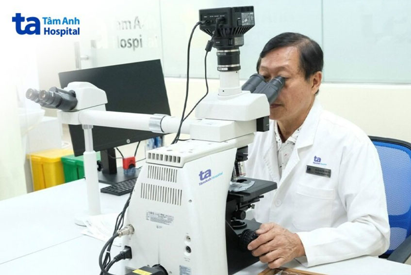 xem xét mảnh cắt dưới kính hiển vi