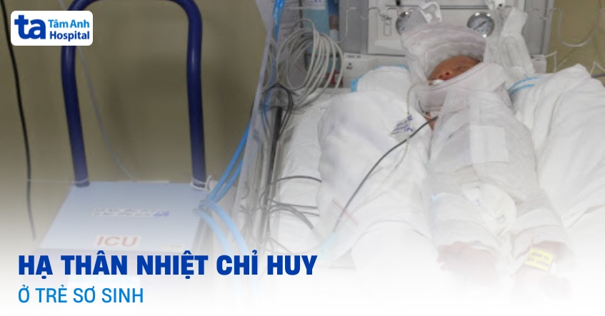 Hạ thân nhiệt chỉ huy ở trẻ sơ sinh: Ứng dụng và quy trình
