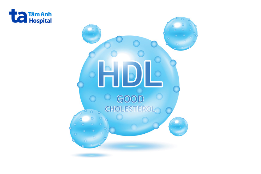 HDL cholesterol là cholesterol có lợi cho cơ thể
