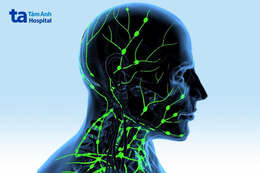 hệ thống hạch bạch huyết vùng đầu cổ